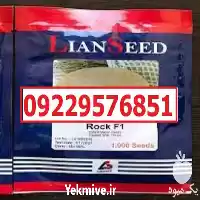 فروش بذر خربزه راک با کیفیت در مشهد در گروه خرید و فروش بذر خربزه در یکمیوه