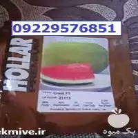 بذر هندوانه هولار پرفروش اصل در کرمان  در گروه خرید و فروش بذر هندوانه در یکمیوه