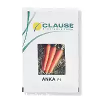 فروش بذر هویج آنکا کلوز در تهران در گروه خرید و فروش بذر هویج در یکمیوه