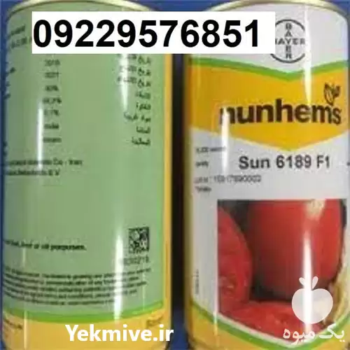 فروش بذر گوجه فرنگی سانسید 6189 در زنجان در گروه خرید و فروش بذر گوجه در یکمیوه -عکس1