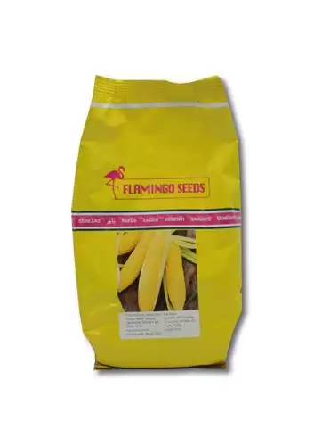 قیمت خرید بذر ذرت شیرین هیبرید در شیراز در گروه خرید و فروش بذر ذرت در یکمیوه -عکس1