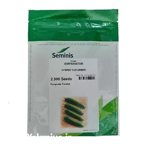 قیمت خرید بذر خیار امپراطور در گروه خرید و فروش بذر خیار در یکمیوه -عکس1