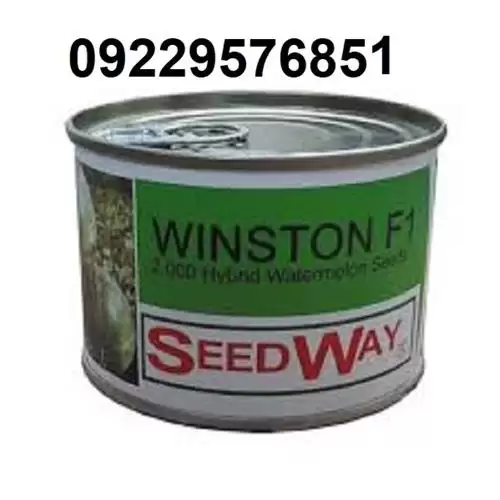 بذر هندوانه وینستون پرفروش در گروه خرید و فروش بذر هندوانه در یکمیوه -عکس1