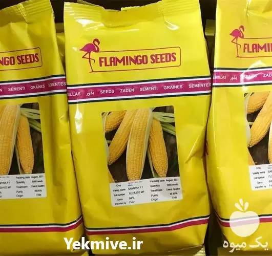 فروش بذر ذرت سمیرا هیبرید در اصفهان در گروه خرید و فروش بذر ذرت در یکمیوه -عکس1