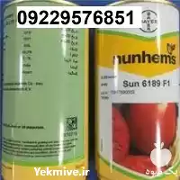 فروش بذر گوجه فرنگی سانسید 6189 در زنجان در گروه خرید و فروش بذر گوجه در یکمیوه