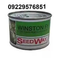 بذر هندوانه وینستون پرفروش در گروه خرید و فروش بذر هندوانه در یکمیوه