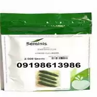 قیمت خرید بذر خیار امپراطور با قیمت عالی در یزد در گروه خرید و فروش بذر خیار در یکمیوه