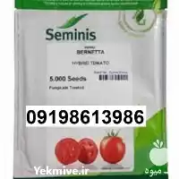 قیمت خرید بذر گوجه فرنگی برنتا در کرمان  در گروه خرید و فروش بذر گوجه در یکمیوه