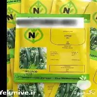 قیمت خرید بذر خیار کیهان در بوشهر در گروه خرید و فروش بذر خیار در یکمیوه