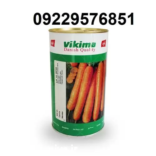 فروش بذر هویج ویکیما با کیفیت در بیرجند در گروه خرید و فروش بذر هویج در یکمیوه -عکس1