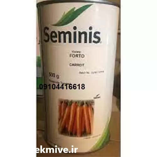 قیمت خرید بذر هویچ فورتو سمینیس در بوشهر در گروه خرید و فروش بذر هویج در یکمیوه -عکس1