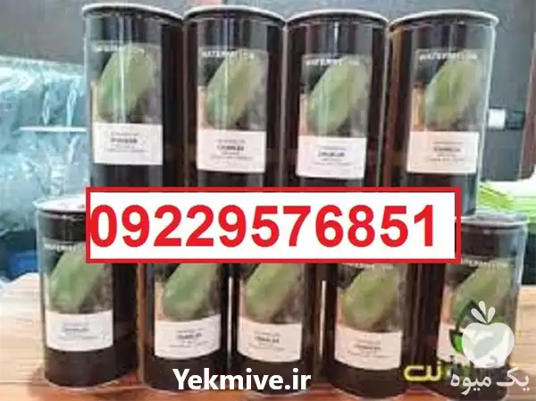 عرضه بذر هندوانه کانیون پر فروش در شیراز در گروه خرید و فروش بذر هندوانه در یکمیوه -عکس1