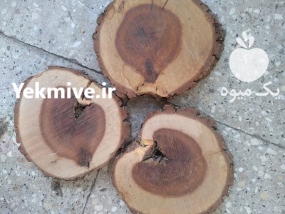 چوب چهار تراش کهور 44 در تهران در گروه خرید و فروش انواع چوب در یکمیوه -عکس2