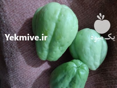 میوه چایوت در ساری در گروه خرید و فروش محصولات باغبانی در یکمیوه -عکس2