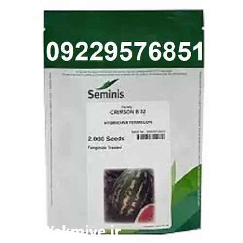 بذر هندوانه پر فروش B 32 در اهواز در گروه خرید و فروش بذر هندوانه در یکمیوه -عکس1