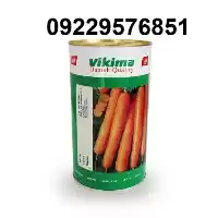 فروش بذر هویج ویکیما با کیفیت در بیرجند در گروه خرید و فروش بذر هویج در یکمیوه