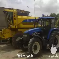 ارایه خدمات کشاورزی صحنه در گرگان در گروه خدمات باغبانی در یکمیوه