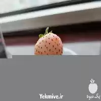 فروش بذر توت فرنگی آناناسی در گروه خرید و فروش انواع بذر در یکمیوه
