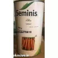 قیمت خرید بذر هویچ فورتو سمینیس در بوشهر در گروه خرید و فروش بذر هویج در یکمیوه
