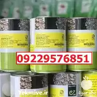 بذر پیاز مینروا پرفروش اصل در کرمان  در گروه خرید و فروش پیاز در یکمیوه