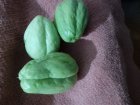 میوه چایوت در ساری