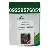 بذر هندوانه پر فروش B 32 در اهواز در گروه خرید و فروش بذر هندوانه در یکمیوه