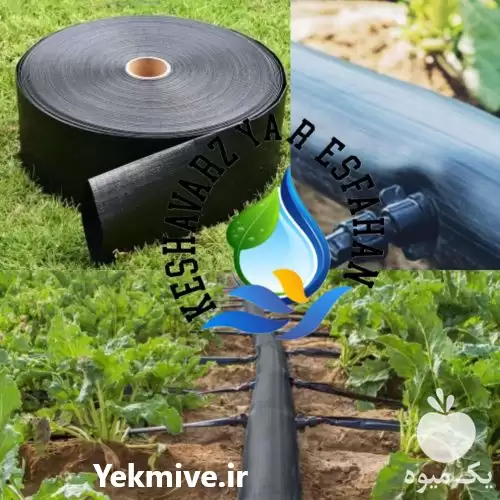 فروش لوله تاشو پلی اتیلن در گروه خرید و فروش لوله کشاورزی در یکمیوه -عکس1