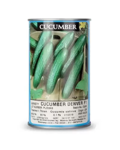 قیمت خرید بذر خیار گلخانه ای در شیراز در گروه خرید و فروش بذر خیار در یکمیوه -عکس1