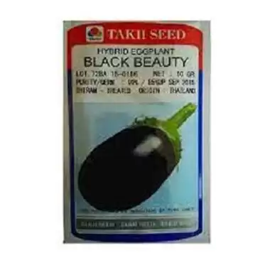 فروش بذر بادمجان بلک بیوتی در گروه خرید و فروش بذر بادمجان در یکمیوه -عکس1