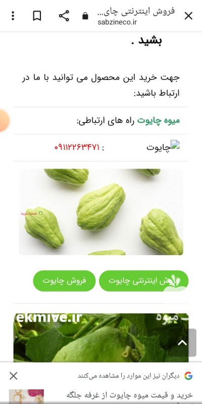 چایوت در ساری در گروه خرید و فروش میوه به در یکمیوه -عکس1