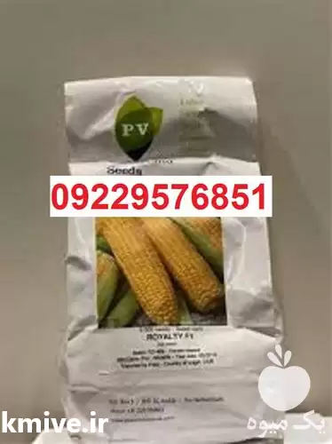 بذر ذرت سمیرا پرفروش اصل در گروه خرید و فروش ذرت در یکمیوه -عکس1