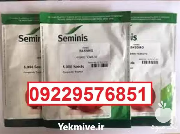 بذر گوجه فرنگی باسیمو پرفروش اصل در گروه خرید و فروش بذر گوجه در یکمیوه -عکس1