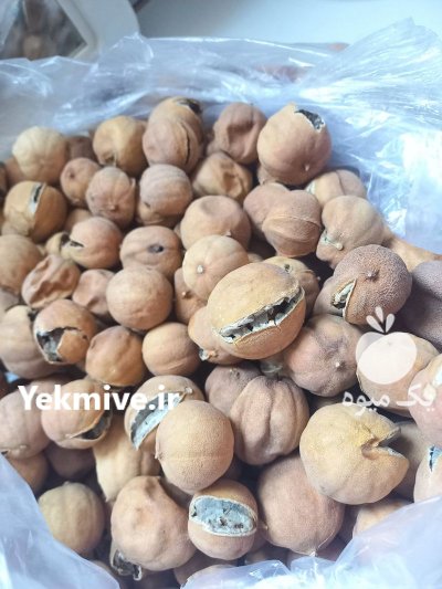 لیمو عمانی خشک در گروه خرید و فروش لیمو شیرین در یکمیوه -عکس1