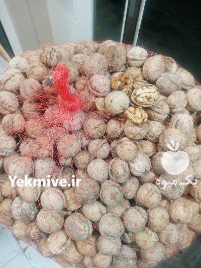 گردو مغز سفید بدون پوکی در گروه خرید و فروش گردو در یکمیوه -عکس1