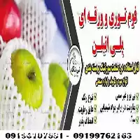 قیمت خرید فوم تور انار در شیراز در گروه انواع بسته بندی محصول در یکمیوه