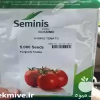 پخش و فروش بذر گوجه فرنگی در بوشهر در گروه خرید و فروش بذر گوجه در یکمیوه