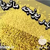 قیمت خرید بذر یونجه مائوپا در تبریز در گروه خرید و فروش بذر یونجه در یکمیوه
