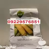 بذر ذرت سمیرا پرفروش اصل در گروه خرید و فروش ذرت در یکمیوه