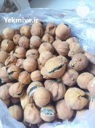 لیمو عمانی خشک در گروه خرید و فروش لیمو شیرین در یکمیوه