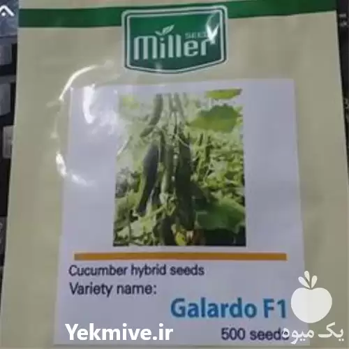 قیمت خرید بذر خیار گلخانه ای در قزوین در گروه خرید و فروش بذر خیار در یکمیوه -عکس1