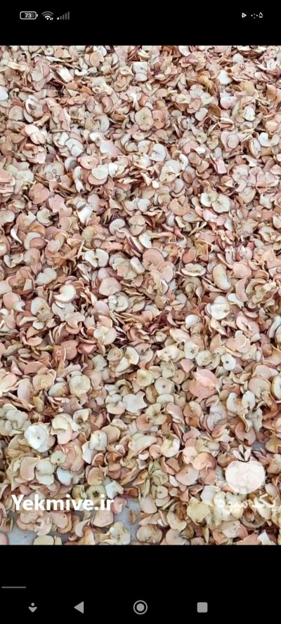 فروش سیب درجه یک دو سه در شیراز در گروه خرید و فروش سیب در یکمیوه -عکس2