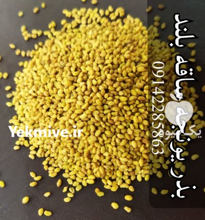 فروش بذر یونجه پایه بلند همدانی در شیراز در گروه خرید و فروش بذر یونجه در یکمیوه -عکس1
