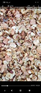 فروش سیب درجه یک دو سه در شیراز در گروه خرید و فروش سیب در یکمیوه