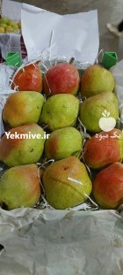 فروش گلابی درگزی درشت تناژ بالا در مشهد در گروه خرید و فروش گلابی در یکمیوه