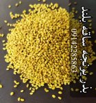 فروش بذر یونجه پایه بلند همدانی در شیراز در گروه خرید و فروش بذر یونجه در یکمیوه