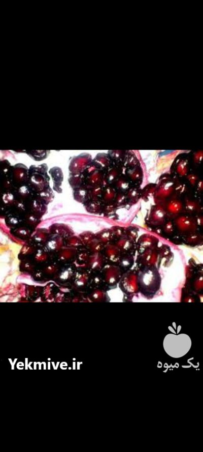 انواع نهال انار خارجی و ایرانی در اصفهان در گروه خرید و فروش نهال انار در یکمیوه -عکس2