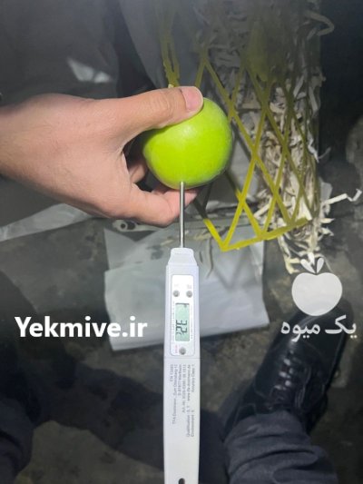 دما سنج مغز میوه برند TFA در تهران در گروه خرید و فروش تجهیزات گلخانه در یکمیوه -عکس1