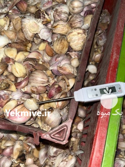 دما سنج مغز میوه برند TFA در تهران در گروه خرید و فروش تجهیزات گلخانه در یکمیوه -عکس2
