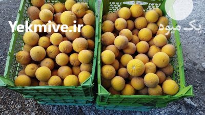 میوه سیتروملو در رامسر در گروه خرید و فروش میوه استوایی در یکمیوه -عکس3