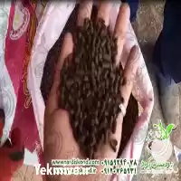 کارخانه کود پلت مرغی درصد خالص در گروه خرید و فروش کود مرغی در یکمیوه